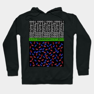 Birthday matrix blue & red pills Hoodie